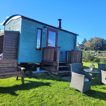 The Shepherds Hut At Forestview Farm Greenisland Kültér fotó