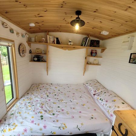 The Shepherds Hut At Forestview Farm Greenisland Kültér fotó
