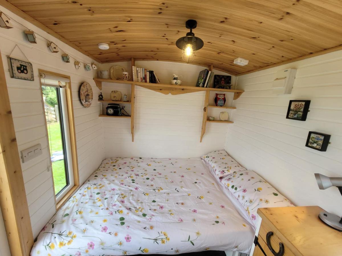 The Shepherds Hut At Forestview Farm Greenisland Kültér fotó