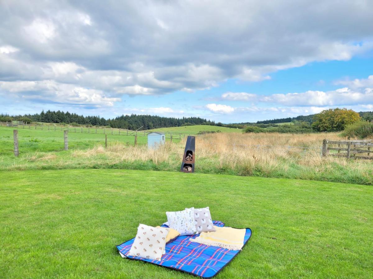 The Shepherds Hut At Forestview Farm Greenisland Kültér fotó